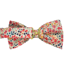 Charger l'image dans la galerie, Noeud Papillon Phoebe Corail