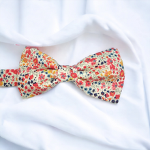 Charger l'image dans la galerie, Noeud Papillon Phoebe Corail