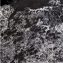 Charger l'image dans la galerie, Étole Mia noire